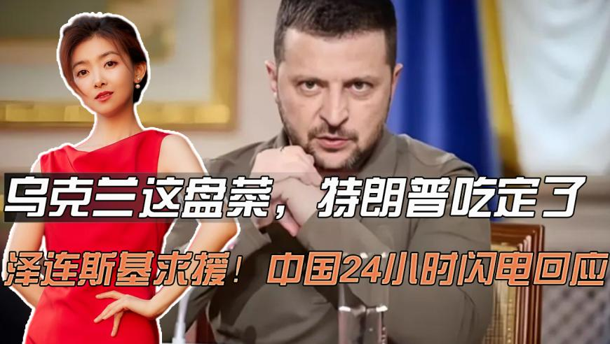舅舅送一车新年礼 外甥女却笑不,新澳门免费资料2025,多元化方案执行策略_界面版V9.26
