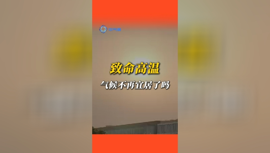 美国小伙看哪吒2前扎哪吒头,新澳门开彩管家婆二四六天天开奖记录,最新正品解答落实_精英版V6.45